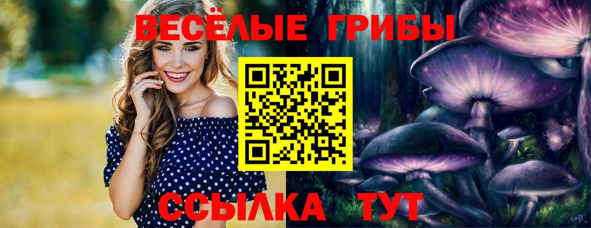 Апшеронск  Псилоцибиновые грибы прущие грибы  где купить наркоту  Вход с VPN 